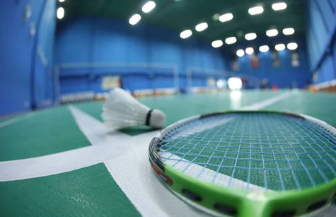 Batminton Court